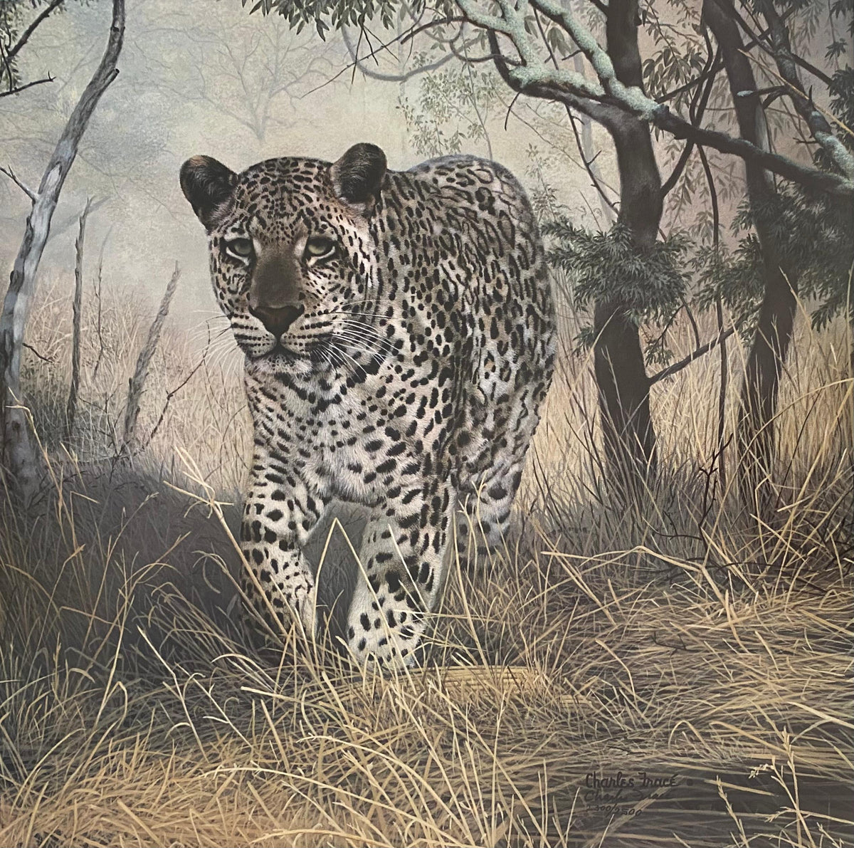 Large Charles Fracé Lithograph titled "Lone Hunter", African Leopard Certified — detail 2
