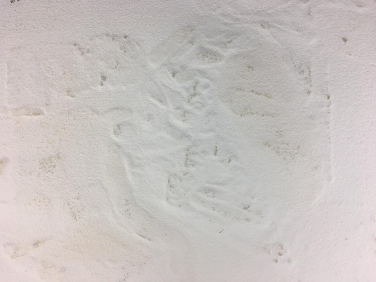 French Abstract Art by Serge Helenon — detail 2