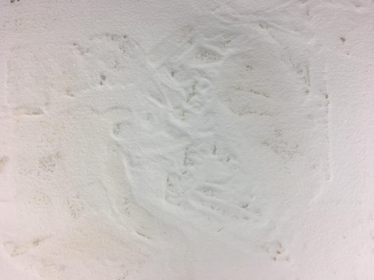 French Abstract Art by Serge Helenon — detail 2