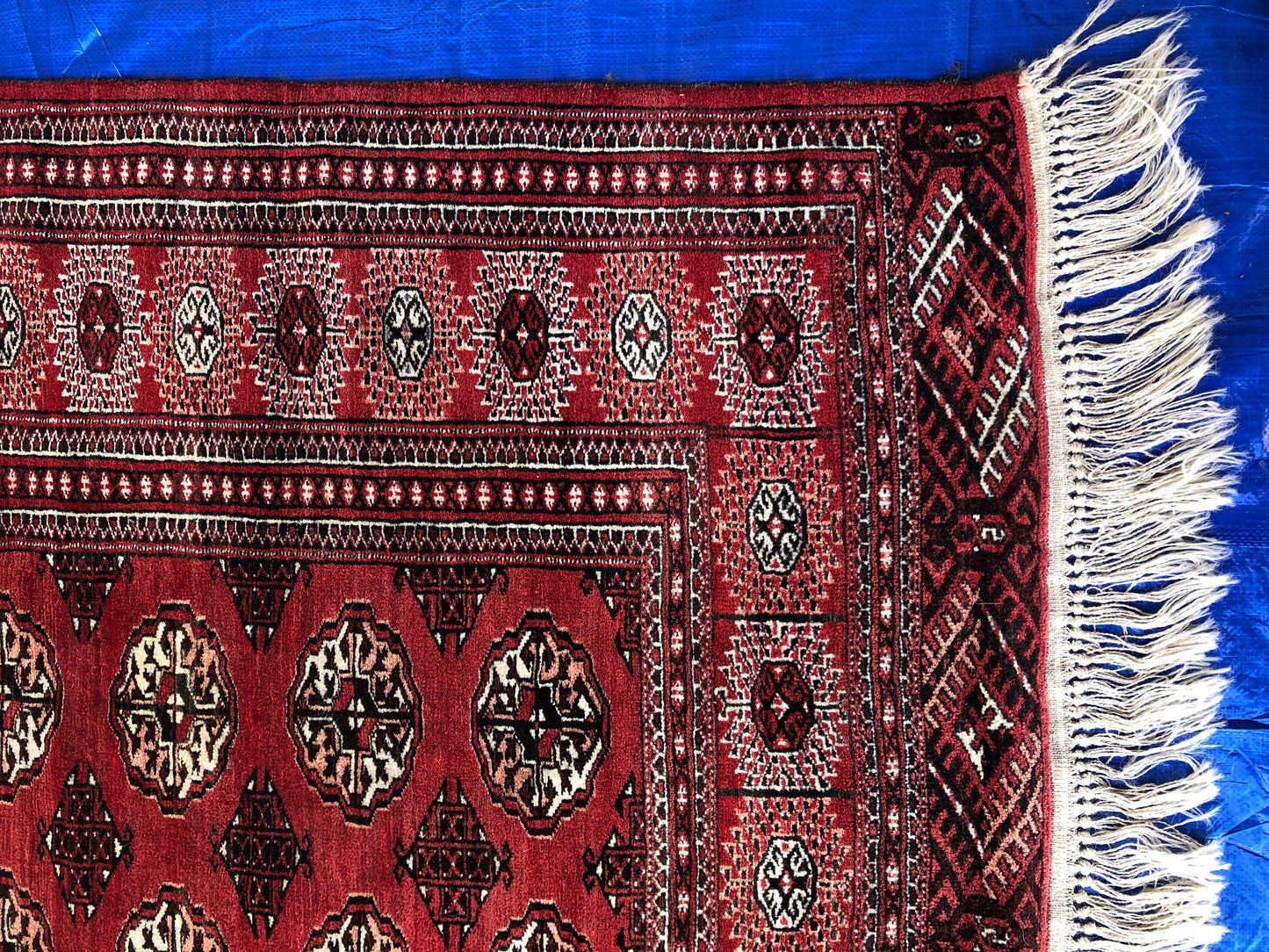 Antique Red Afghan Ersari Hand Knotted Turkoman Rug, circa 1920 — detail 8