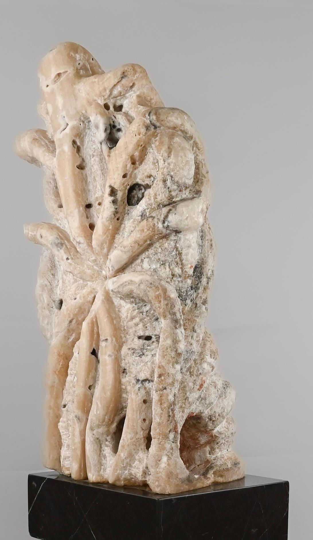 Abstract Stone Sculpture Chinese Scholar Stone on a Faux Marble Stand — detail 6