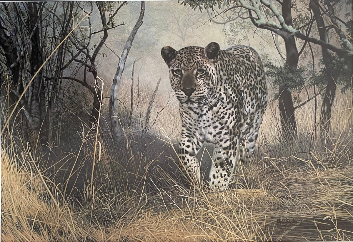 Large Charles Fracé Lithograph titled "Lone Hunter", African Leopard Certified — detail 3