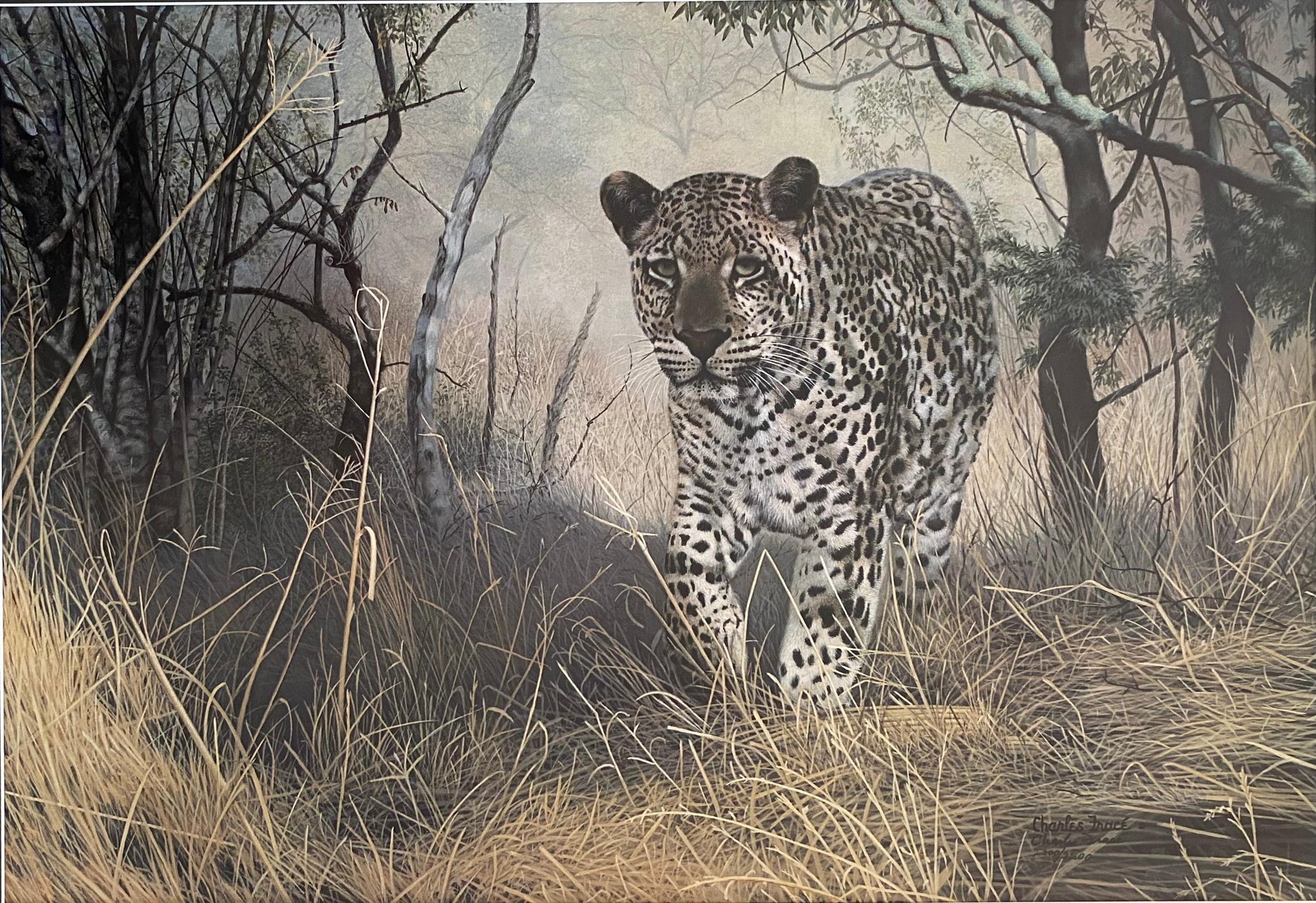 Large Charles Fracé Lithograph titled "Lone Hunter", African Leopard Certified — detail 3