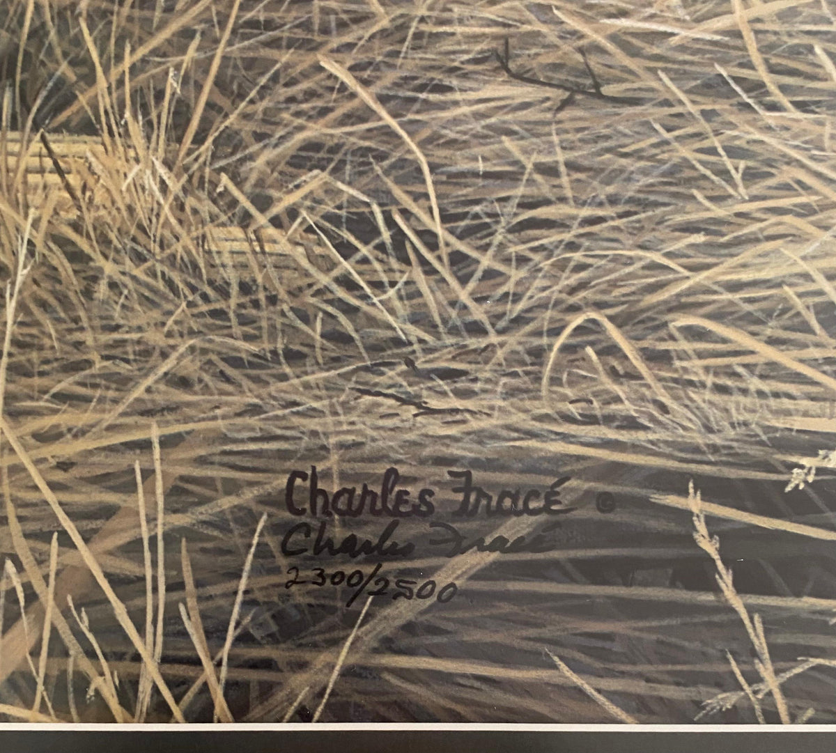 Large Charles Fracé Lithograph titled "Lone Hunter", African Leopard Certified — detail 4