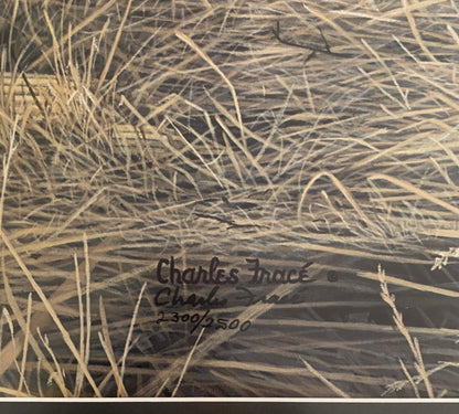 Large Charles Fracé Lithograph titled "Lone Hunter", African Leopard Certified — detail 4