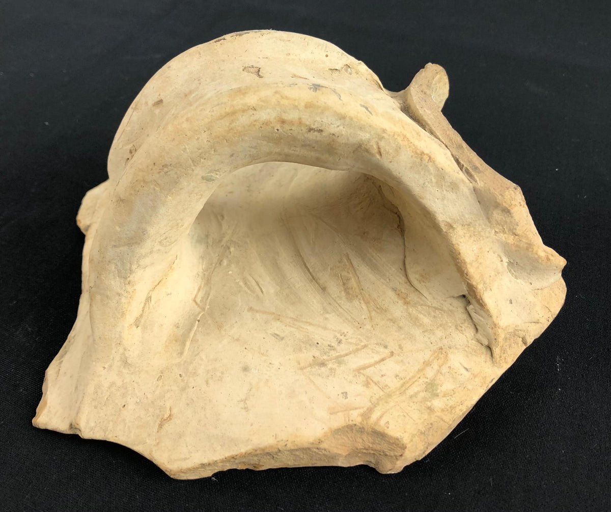 Roman Clay Jar Handle Fragment — detail 3