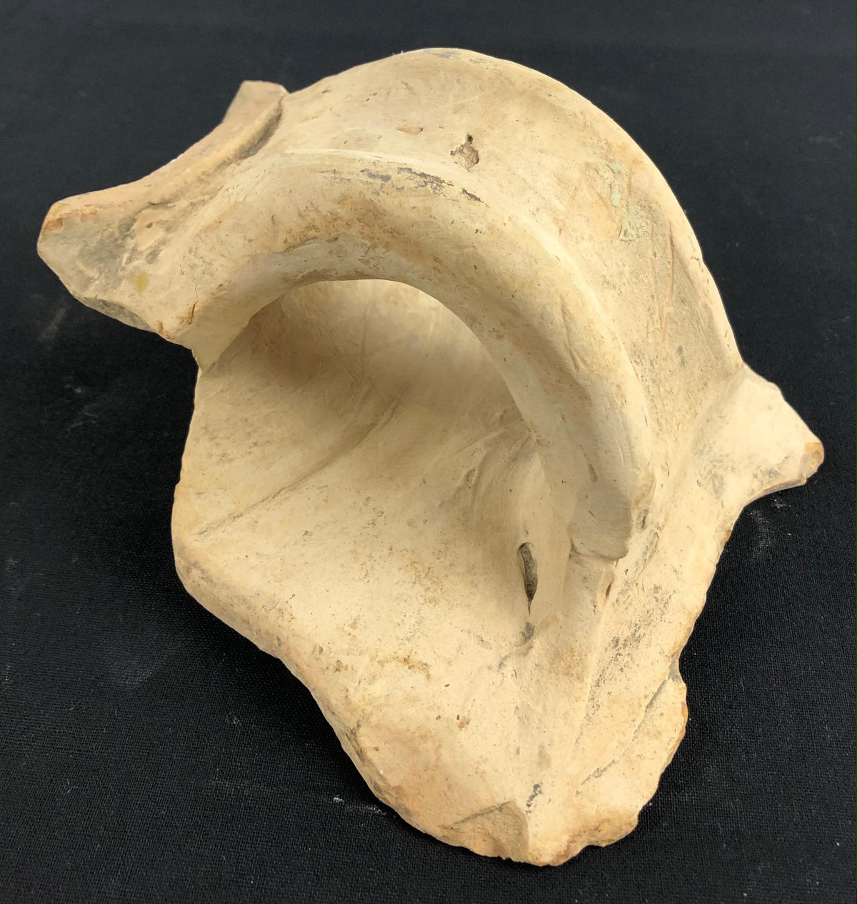 Roman Clay Jar Handle Fragment — detail 6