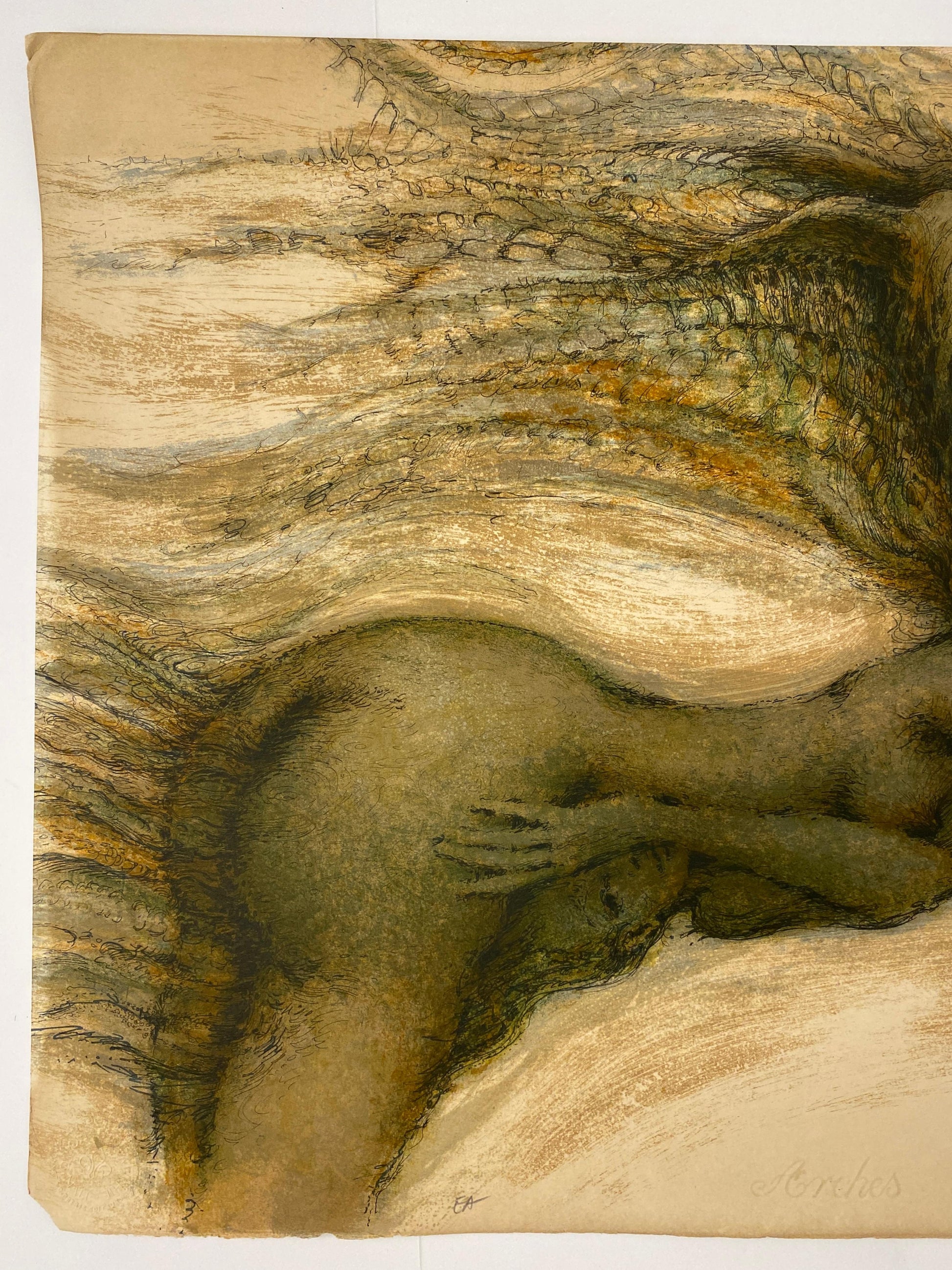 French Color Lithograph on Arches paper by FRANCIS de LASSUS SAINT-GENIET — detail 4