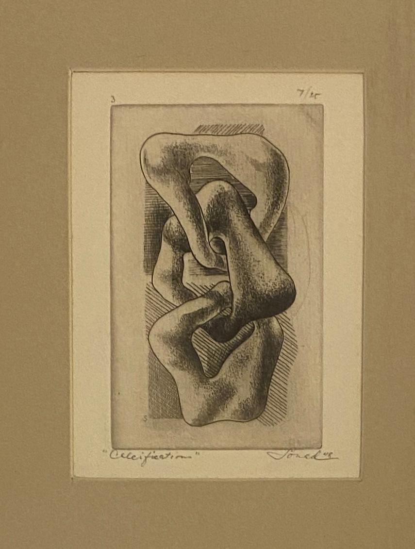 Warren Soned Aquatint Titled "Calcification" — detail 5