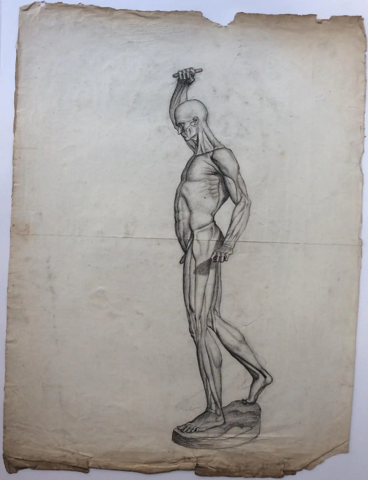 Collection of 4 Antique Anatomical Drawings — detail 4