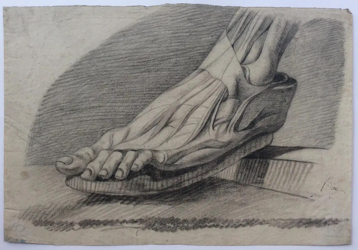 Collection of 4 Antique Anatomical Drawings — detail 7