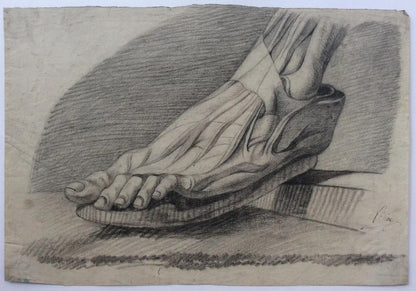 Collection of 4 Antique Anatomical Drawings — detail 7