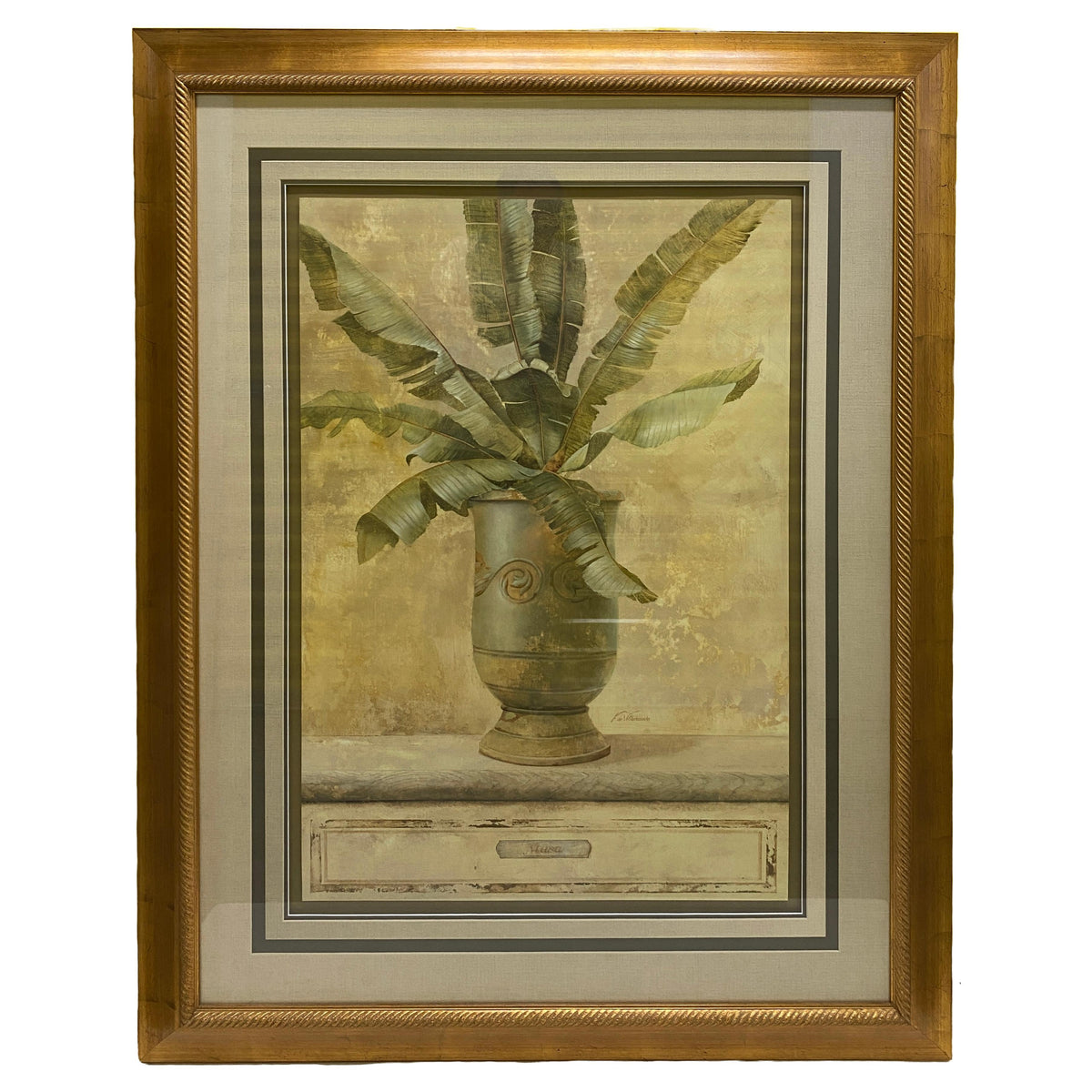 Large Botanical Musa Art Print