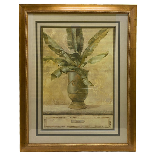 Large Botanical Musa Art Print